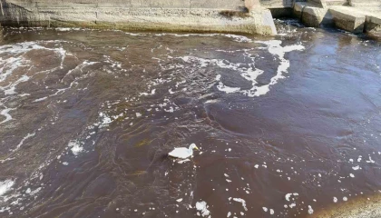 Göksu siyah akmaya başladı, akıllara 3 yıl önceki hadise geldi