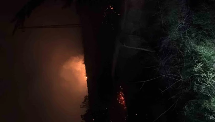 Hatayda çıkan otluk yangını söndürüldü