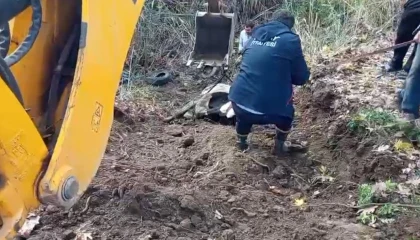 Hatayda dereye düşen inek itfaiye ekipleri tarafından kurtarıldı