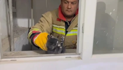 Hatayda havalandırma boşluğuna düşen yavru kedi kurtarıldı