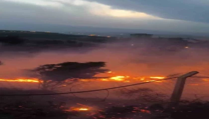 Hatayda otluk alanda çıkan yangın kısa sürede söndürüldü