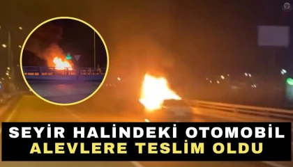 Hatayda seyir halindeki otomobil alevlere teslim oldu