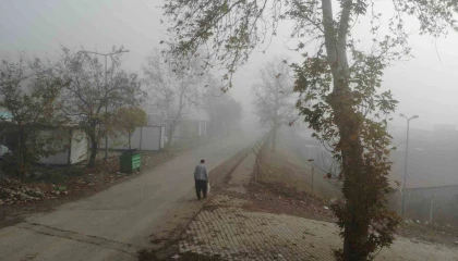 Kahramanmaraşta sis etkili oldu