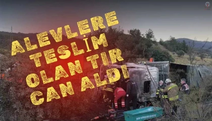 Kaza yaptıktan sonra alevlere teslim olan tırdaki 2 kişi öldü, taşınan anguslar otobana yayıldı