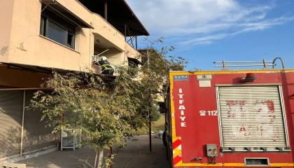 Kırıkhanda çatıda mahsur kalan kediyi itfaiye kurtardı