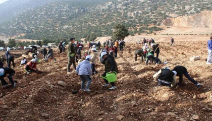 Korkutelinde 3 bin fidan toprakla buluştu