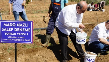 MADOdan Salep Manifestosu