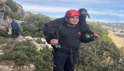 Mersinde kayalıklarda mahsur kalan 2 keçi itfaiye ekiplerince kurtarıldı