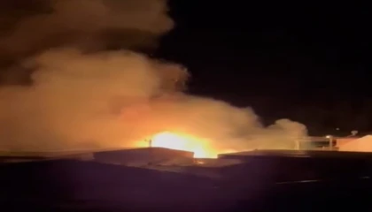 Mersinde sazlık alandaki yangın söndürüldü: Bir sera zarar gördü