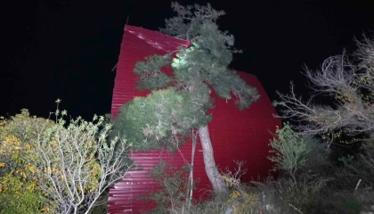 Mersinde şiddetli rüzgar çatıyı uçurdu, asırlık meşeyi devirdi