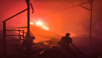 Samanlıktan yükselen alevler, besihaneye ulaşmadan kontrol altına alındı