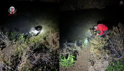 Su kanalına düşen buzağıyı itfaiye kurtardı