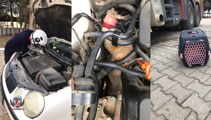 Üşüyen kedi, otomobilin motoruna girdi