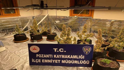 Villada uyuşturucu yetiştirmişler: Torbacı sevgililer yakalandı, 4 kilo uyuşturucu ele geçirildi