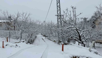 Yaz şehri Mersinde kar birçok mahalleyi beyaza bürüdü