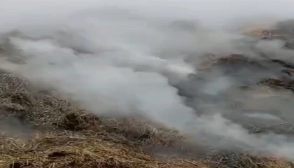 Adanada samanlık yangını kontrol altına alındı