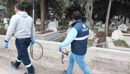 Adanada sokak köpeği endişesi