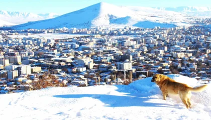 Afşinde kar sonrası manzara hayran bıraktı