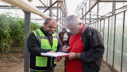 Aksuda afetten zarar gören seralarda hasar tespiti yapıldı
