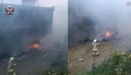 Altınözünde odunluk yangını