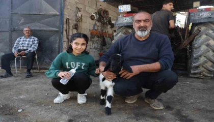 Annesi telef olan kuzuya şefkatle yaklaşan aile, Karabaşı biberonla besliyor