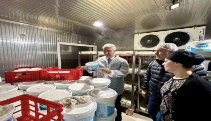 Antakyada süt ürünleri üreten firma incelendi