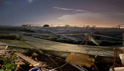 Antalyada hortum seralara zarar verdi