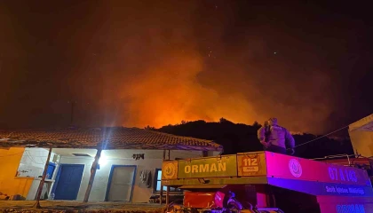 Antalyada orman yangını