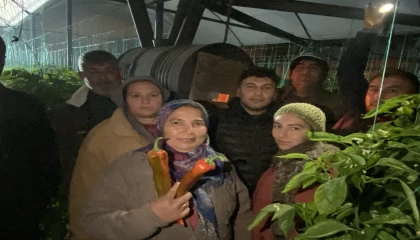 Antalyada üretici don nöbetinde