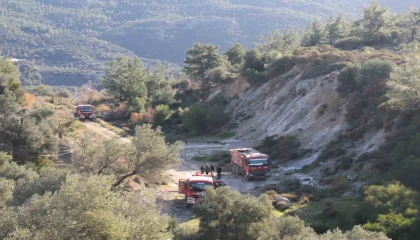 Antalyadaki orman yangınında zararın boyutu gündüz ortaya çıktı: 2 hektar zarar gördü