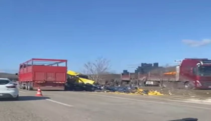 Burdurda limon yükü tır şarampole devrildi