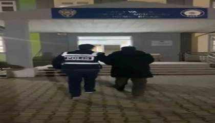 Defnede hırsızlık şüphelisi tutuklandı