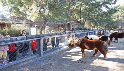 Doğal Yaşam Parkında çocuklara hayvan ve doğa sevgisi aşılanıyor