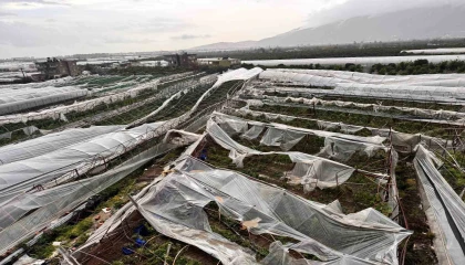 Finikede hortumun verdiği hasar gündüz ortaya çıktı