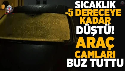 HATAY -5 İLE BUZ TUTTU BEYAZ ESARET HAYATI ZİNDANA ÇEVİRDİ