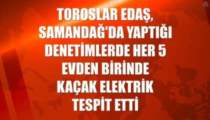 Hatay Samandağda denetim yapılan her 5 evden birinde kaçak elektrik tespit edildi