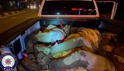 Hatayda 8 kaçak göçmen yakalandı, 2 organizatör tutuklandı