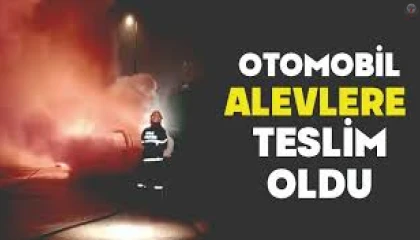 Hatayda otomobil alevlere teslim oldu