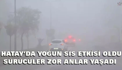 Hatayda yüksek kesimlerde sis
