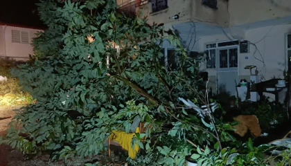 Hortum Manavgatı savaş alanına çevirdi