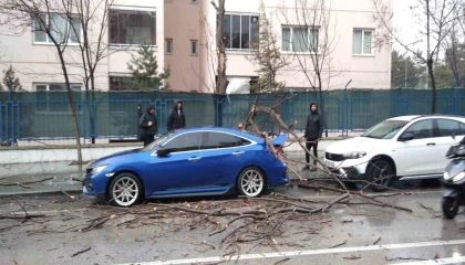 Ispartada fırtına ağaçları devirdi, araçlar hasar gördü