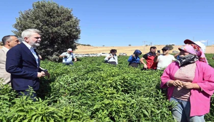 Kahramanmaraş Büyükşehirden 2025te çiftçiye 100 milyonluk destek