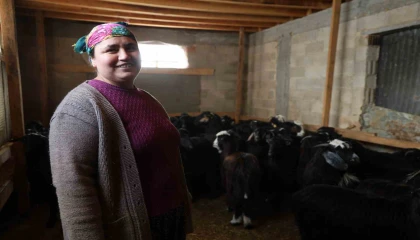 Kırsalda hayvancılıkla uğraşan kadın besicinin zorlu mesaisi