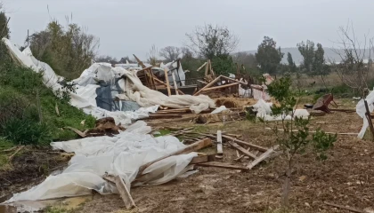 Manavgatta hortum 300 dönümlük alanda seraları yerle bir etti