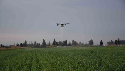 Mersinde dronla gübreleme ve ilaçlama çiftçinin zayiatını sıfıra indirdi, zamandan tasarruf sağladı
