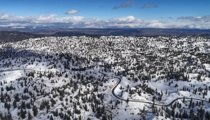 Mersinde karla kaplanan ormanlık alandan kartpotallık görüntüler