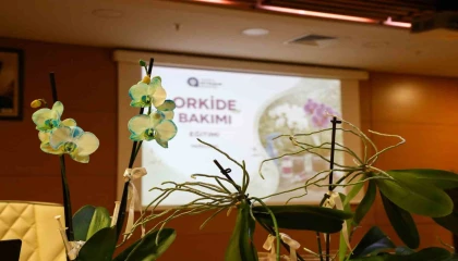 Orkide bakımı uygulamalı olarak anlatıldı
