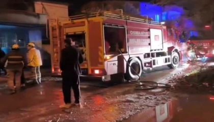 Osmaniyede müstakil evde çıkan yangın söndürüldü