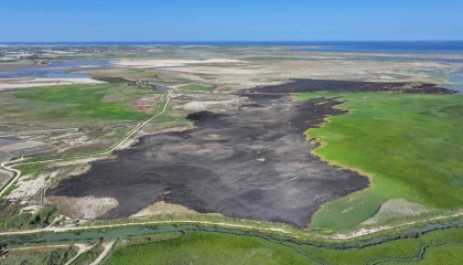 Prof. Dr. Halil Kumbur: Su kaynakları iyi yönetilmezse Türkiye su fakiri olacak