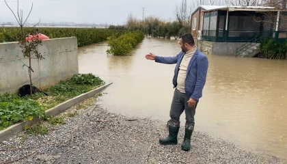 Sağanak sonrası evde mahsur kalan 4 köpek iş makinesiyle kurtarıldı
